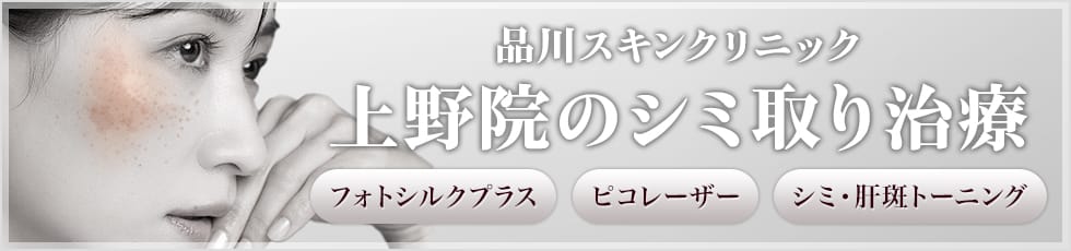 品川スキンクリニック 上野院のシミ取り治療 フォトシルクプラス・ピコレーザー・シミ・肝斑トーニング