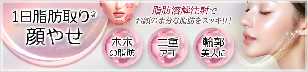 1日脂肪取り&reg; 顔やせ 脂肪溶解注射でお顔の余分な脂肪をスッキリ！ ホホの脂肪・二重アゴ・輪郭美人に