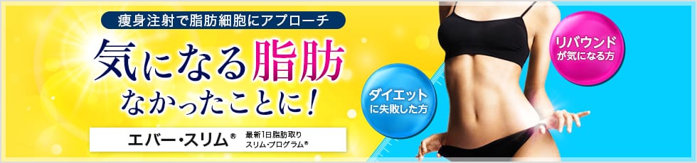 痩身注射で脂肪細胞にアプローチ 気になる脂肪なかったことに！ エバー・スリム&reg; 最新1日脂肪取りスリム・プログラム&reg; ダイエットに失敗した方 リバウンドが気になる方