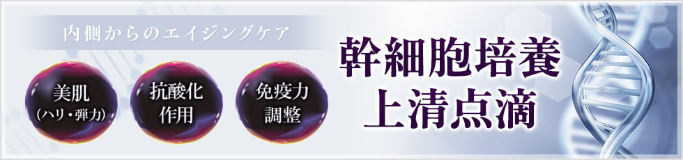 内側からのエイジングケア 幹細胞培養上清点滴 美肌（ハリ・弾力） 抗酸化作用 免疫力調整