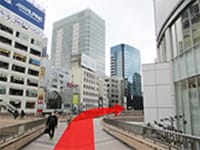 三方向に分かれているので真ん中の道に沿って進みます。【画像】