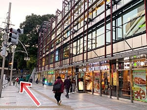 横断歩道を渡ったら、左手に道なりに進みます。【画像】