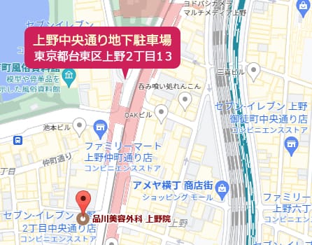 上野中央通り地下駐車場 東京都台東区上野2丁目13