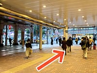 横断歩道を上野公園側に渡ります。【画像】