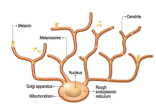 治療の効果【画像】