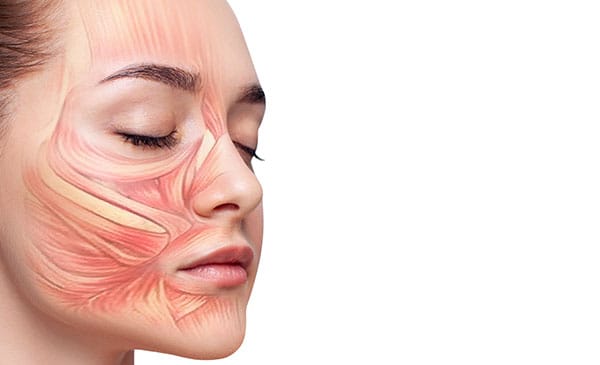 筋肉の緩み【画像】