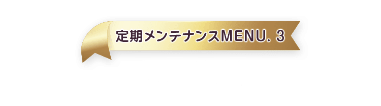 定期メンテナンスMENU.3 美肌注射