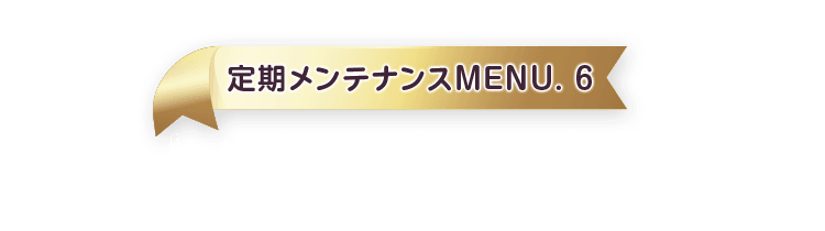 定期メンテナンスMENU.6 レッド・グロス注射