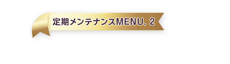 定期メンテナンスMENU.2 ヒアルロン酸注入