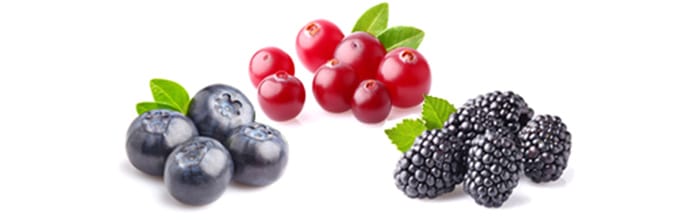 果実エキス（ブルーベリー、クランベリー等）の「抗酸化」「皮脂分泌抑制」のはたらきに注目した、新ピーリング治療！【画像】