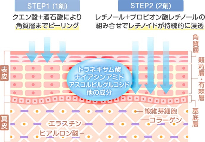 STEP1（1剤） クエン酸+酒石酸により角質層までピーリング STEP2（2剤） レチノール+プロピオン酸レチノールの組み合せでレチノイドが持続的に浸透【画像