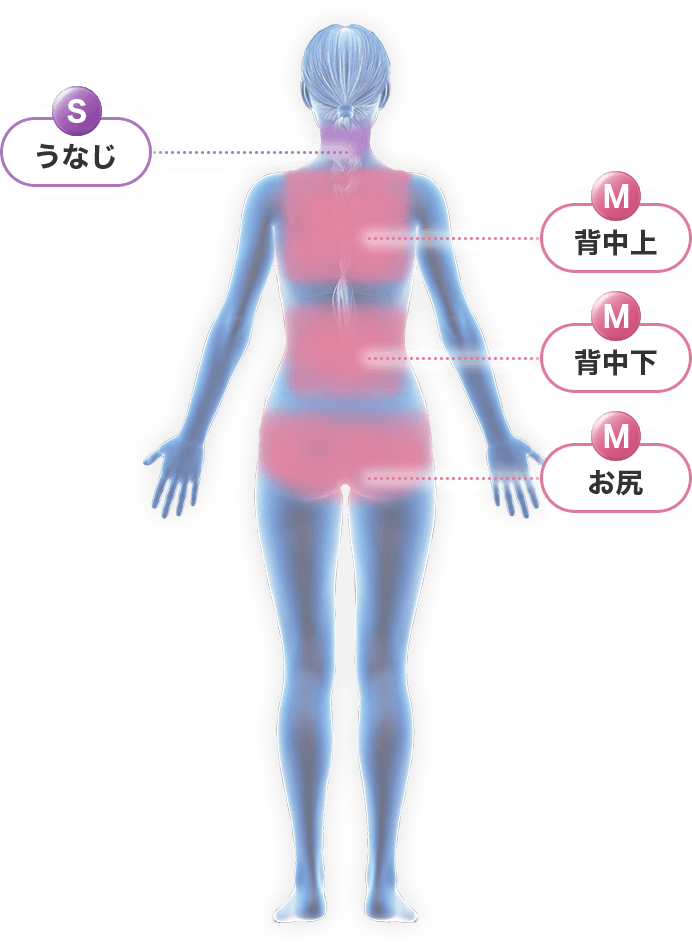 Sパーツ（うなじ） Mパーツ（背中上・背中下・お尻）