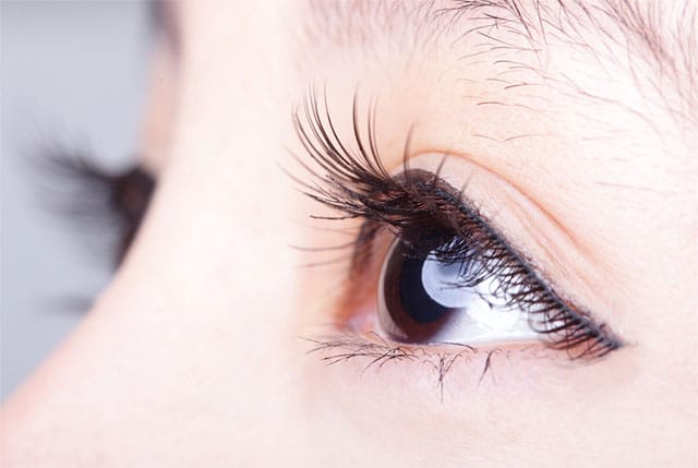 グラッシュビスタ&reg;の効果【画像】