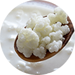 コウジ酸（5％）【画像】