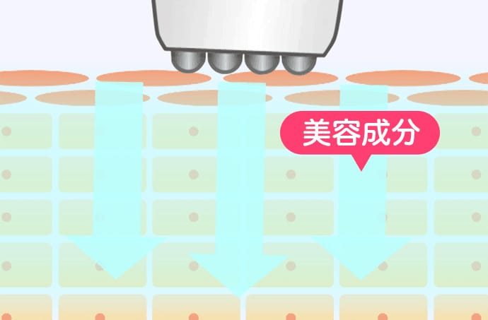 エレクトロポレーション（電気穿孔法）【画像】