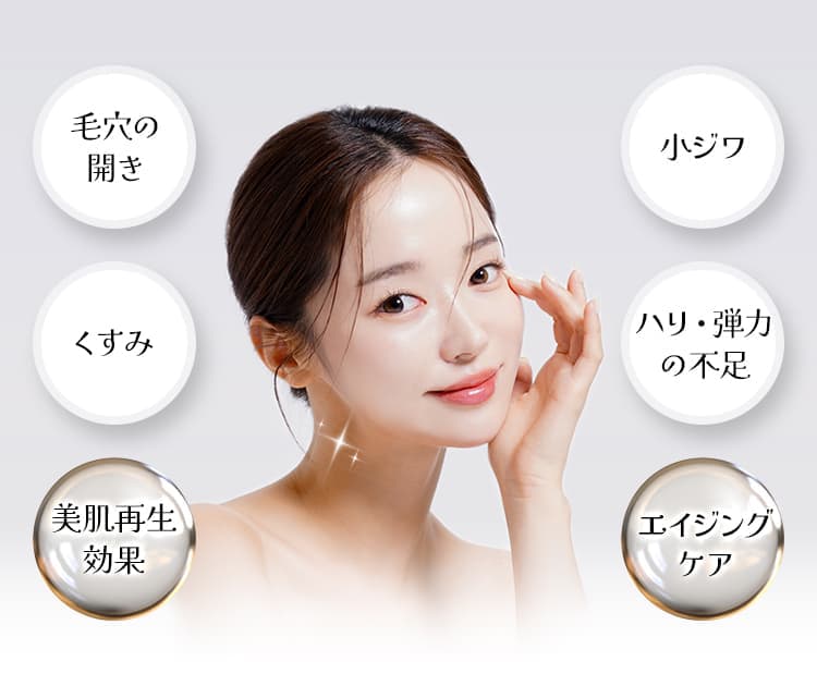 毛穴の開き くすみ 美肌再生効果 小ジワ ハリ・弾力の不足 エイジングケア