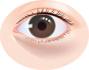 メイクしても隠せない目の下の影