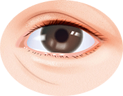 実際の年より上に見られる