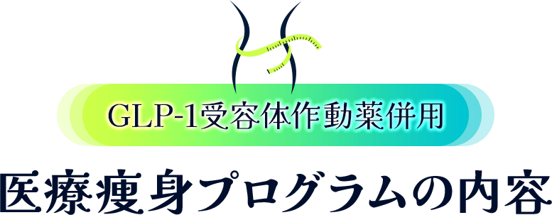 GLP-1受容体作動薬併用 医療痩身プログラム内訳