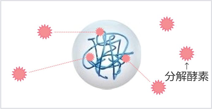 分解酵素がすぐ浸透してしまう【画像】