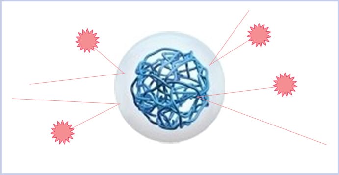 分解酵素の浸透を抑える【画像】