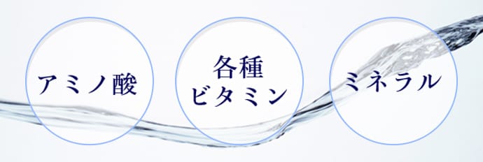 アミノ酸・各種ビタミン・ミネラル
