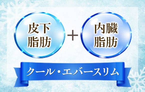 皮下脂肪＋内臓脂肪 クール・エバースリム【画像】