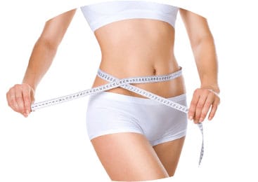 脂肪細胞の「数」を減らす【画像】