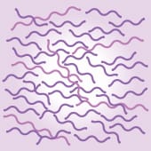 架橋前 ボリューマXC【画像】