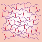 架橋後 ウルトラXC【画像】