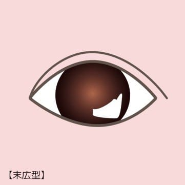 末広型【画像】