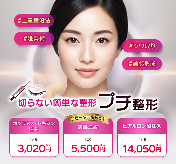 切らない簡単な整形 プチ整形 二重埋没法/隆鼻術/シワ取り/輪郭形成