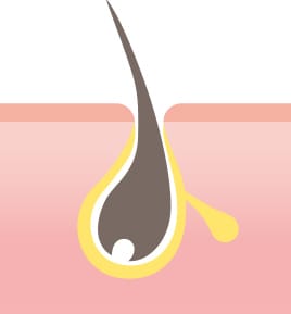 普通肌【画像】