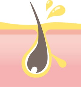 脂性肌【画像】