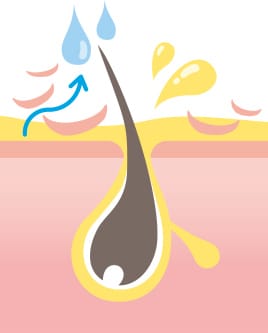 混合肌【画像】