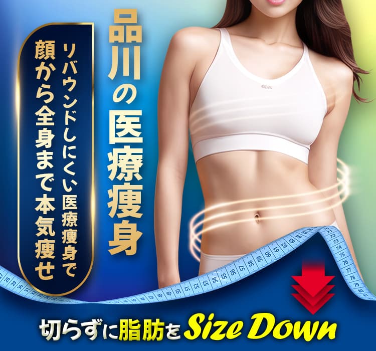 品川の医療痩身 リバウンドしにくい医療痩身で顔から全身まで本気痩せ 切らずに脂肪をSize Down