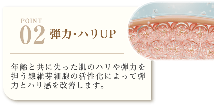 POINT02 弾力・ハリUP 年齢と共に失った肌のハリや弾力を担う線維芽細胞の活性化によって弾力とハリ感を改善します。