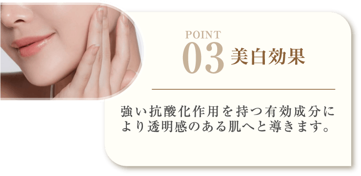 POINT03 美白効果 強い抗酸化作用を持つ有効成分により透明感のある肌へと導きます。
