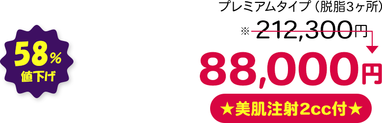 プレミアムタイプ（脱脂3ヶ所） 58％値下げ ★美肌注射2cc付★