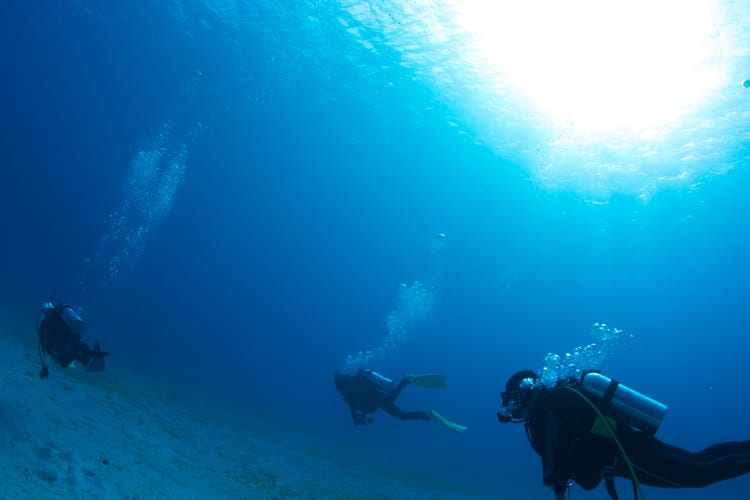 ゼログラヴィティの活動支援