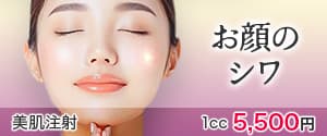 お顔のシワ 美肌注射