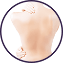 身体への効果:アンチエイジング、免疫力向上【画像】