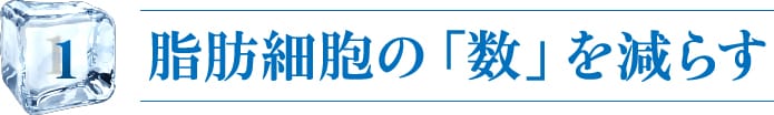 脂肪細胞の「数」を減らす